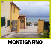 Montignano