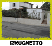 Brugnetto