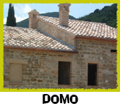 Domo
