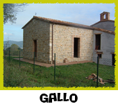 Gallo