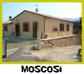 Moscosi